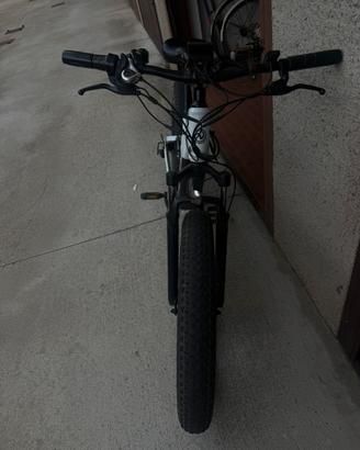 Bici eléctrica
