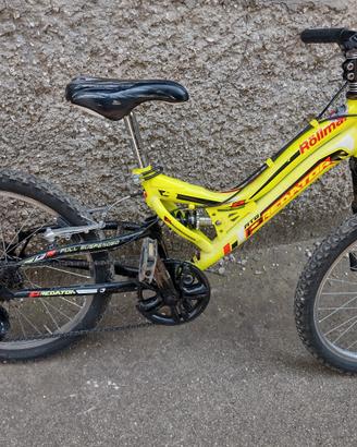 mountain-bike 