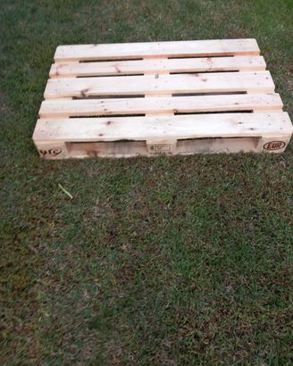 euro pallet