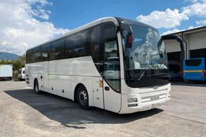 Man Lion's Coach