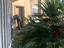 Immagine 11