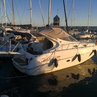 Salpa laver 31.5 natante