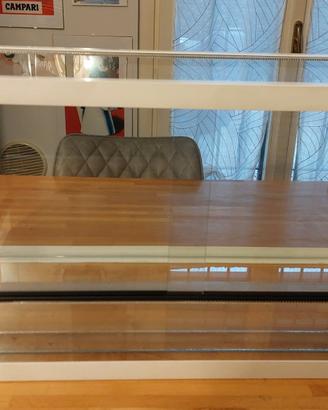 Terrario Creas Giungla3 misure 70x33x38h