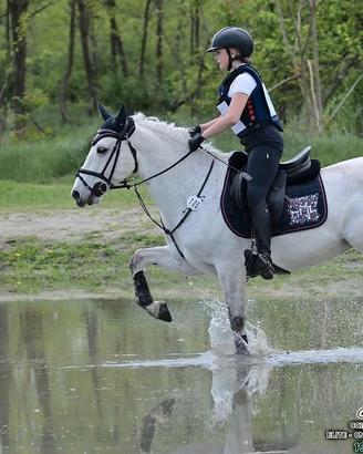 Vendita doppio pony