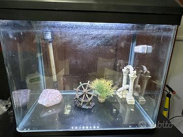 Acquario 45 litri