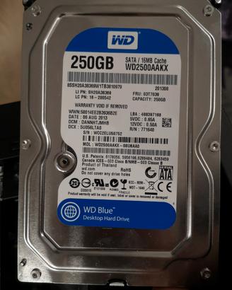250GB, Western Digital interno, 7200 RPM, 3.5"