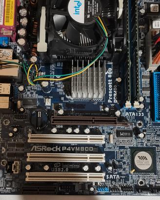 asrock p4vm800