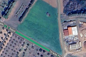 Terreno 1ha a c.da Castelluccio -Pisticci (MT)