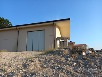 Vigneto e Capannone vendita anche separata