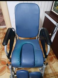 Sedia a rotelle 