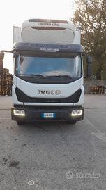 Camion frigo