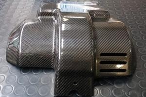 Paracoppa in carbonio Aprilia Pegaso AP8794053