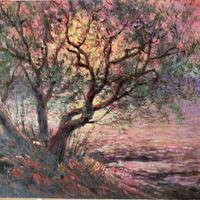 PREGEVOLE PAESAGGIO OLIO SU TELA 35X50 CONTROLUCE