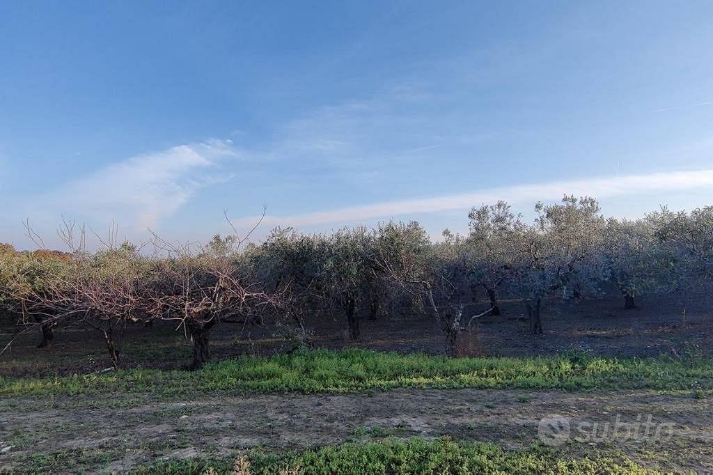 Terreno di 13800 m² a Monteodorisio - Vista 5
