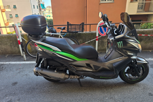 Kawasaki j300