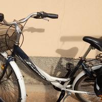 Bicicletta Frera Divina Donna raggio 26