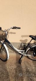 Bicicletta Frera Divina Donna raggio 26