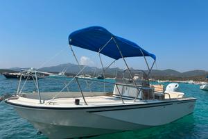 Boston Whaler outrage 22 parabrezza