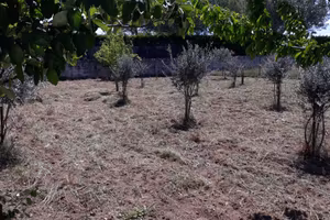 Terreno agricolo
