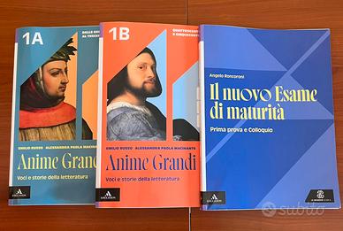 Anime grandi 9788800357883