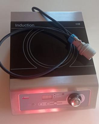 n.2 PIASTRE AD INDUZIONE PROFESSIONALE 3,5 KW