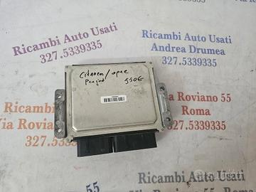 Centralina Motore Peugeot Citroen 1.5 BlueHDi Delp