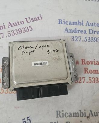 Centralina Motore Peugeot Citroen 1.5 BlueHDi Delp