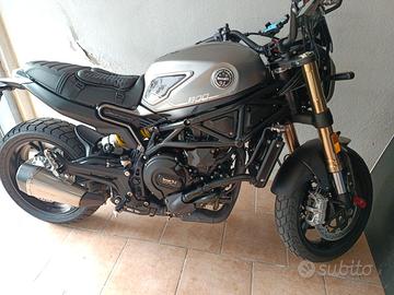 Benelli Leoncino 800 2024