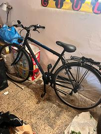 Bici da passeggio uomo