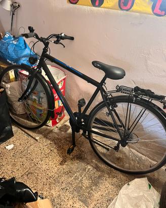 Bici da passeggio uomo