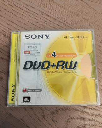 Dischetto DVD RW Sony