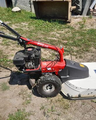 Taglia erba P70 Evo
