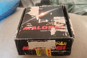 centralina aggiuntiva malossi 