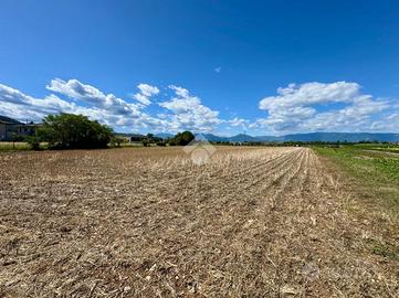TER. AGRICOLO A ISOLA VICENTINA