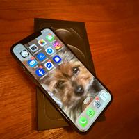 iPhone 12 Pro 256GB Pacific Blue