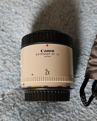 Canon teleconverter 2x 