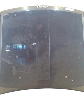 Cofano anteriore Jeep Grand Cherokee WK del 2008