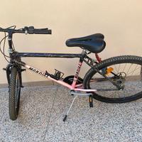 Mountain bike Mondial