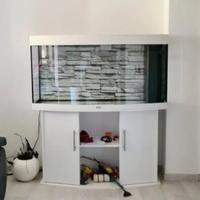 Acquario juwel vision led 260 L.con mobile support