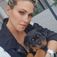 Cucciola rottweiler