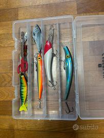 Esche da pesca mare e lucci