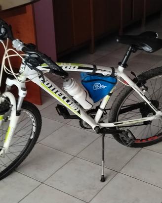 bottecchia mountain bike FX 500 ammortizzata 