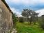 Immagine 9