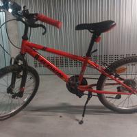 Bicicletta 20