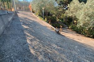 Vendita villetta indipendente Piana degli Albanesi