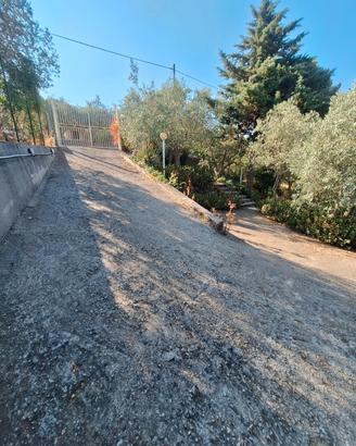 Vendita villetta indipendente Piana degli Albanesi