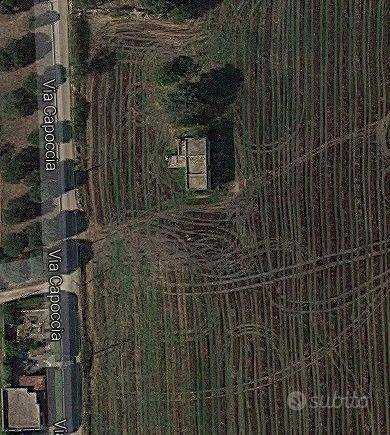 CampomarinoTA Fabbricato rurale su terreno 1000 mq - Vista 4