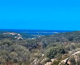 Vicino Spiaggia di Marinella Porto Rotondo Olbia