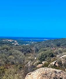 Vicino Spiaggia di Marinella Porto Rotondo Olbia