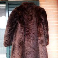 Pelliccia di Castorino.